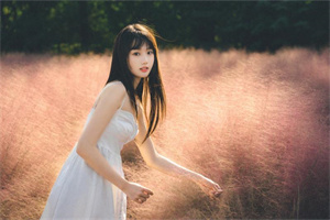 上海花千坊：农产品物价波动对上海经济的影响